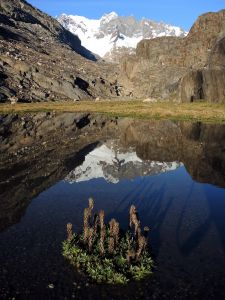 Lago Eléctrico