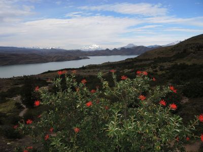 Postupujeme k jezeru Lago Nordenskjöld