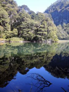 Lago Chico v NP Huerquehue