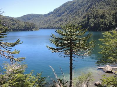Lago Verde