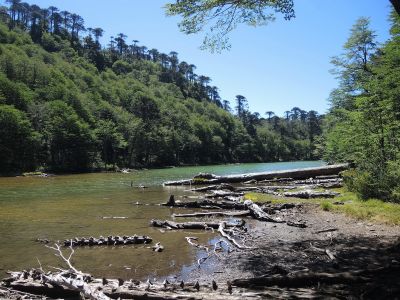 NP Huerquehue